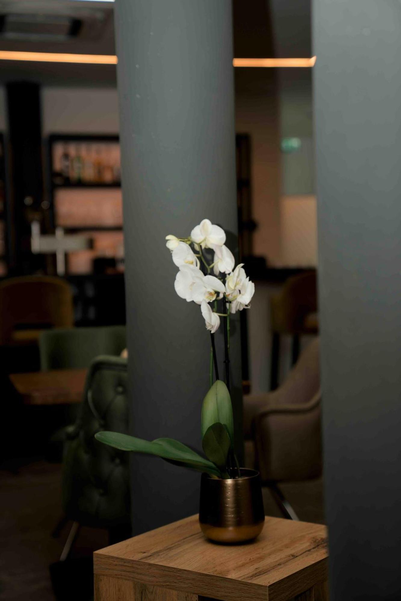 Central Hotel & Lounge Adult Only Goslar Esterno foto